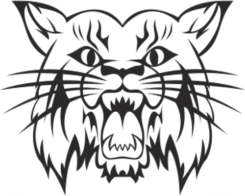 Central City CSD logo