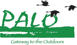 Palo logo