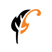 College CSD logo