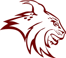 North Linn CSD logo