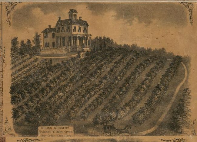 An engraving of a large house on a hill above rows of nursery trees